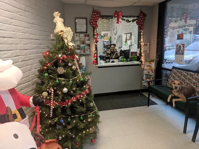 Greenway Animal Clinic 8