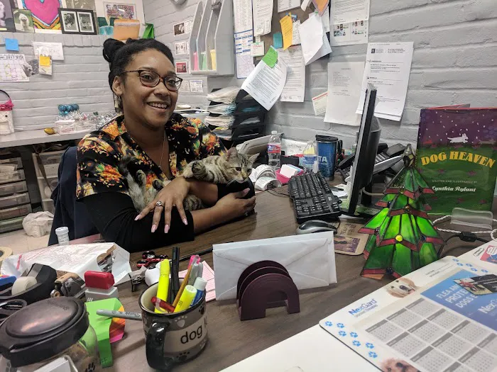 Greenway Animal Clinic 10