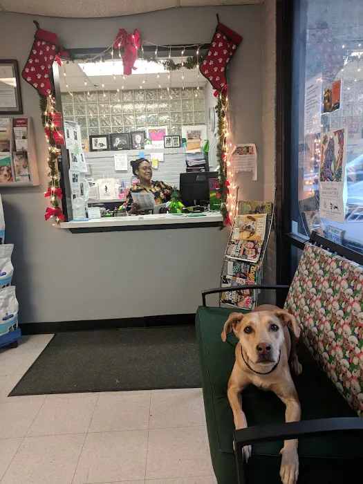 Greenway Animal Clinic 4