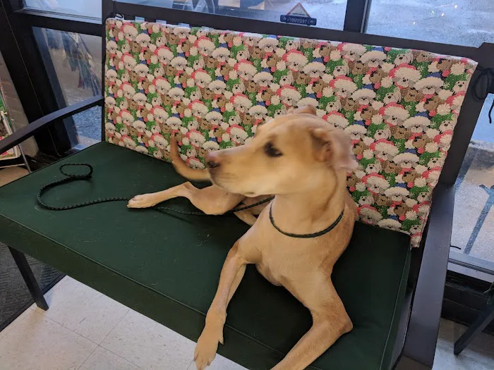 Greenway Animal Clinic 6