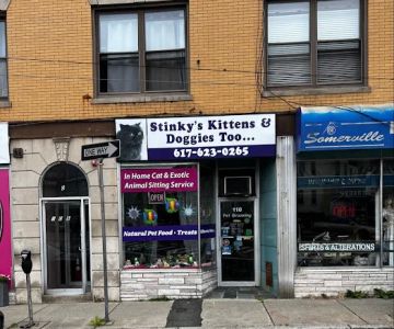 Stinky's Kittens & Doggies Too