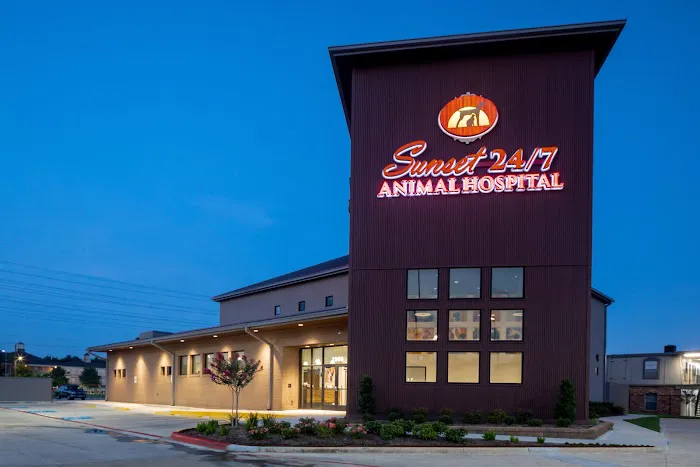 Sunset Animal Hospital 12