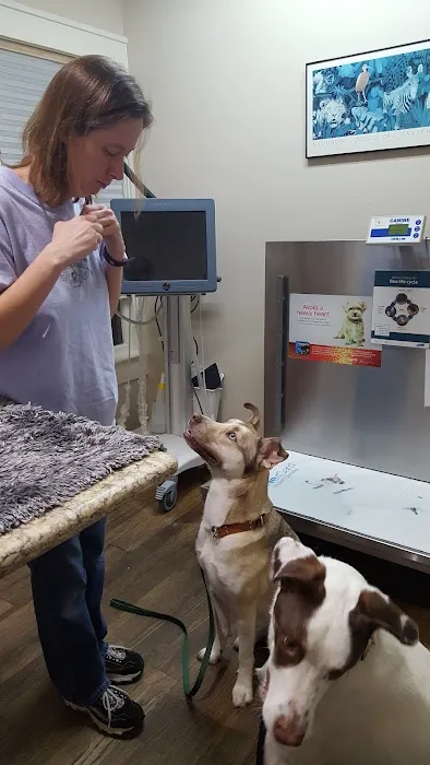 Bissonnet Veterinary Hospital 12