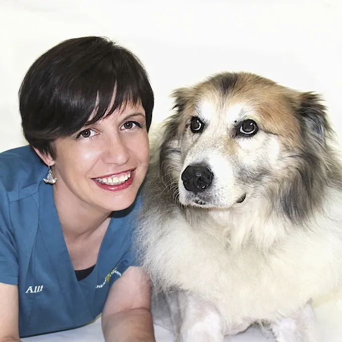 Animal Medical Center of the Village 12