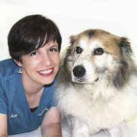 Animal Medical Center of the Village ico
