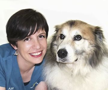 Animal Medical Center of the Village