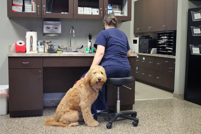 Animal Medical Center of the Village 12