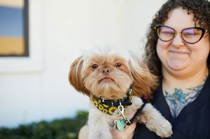 2525 Sunset Veterinarians 12