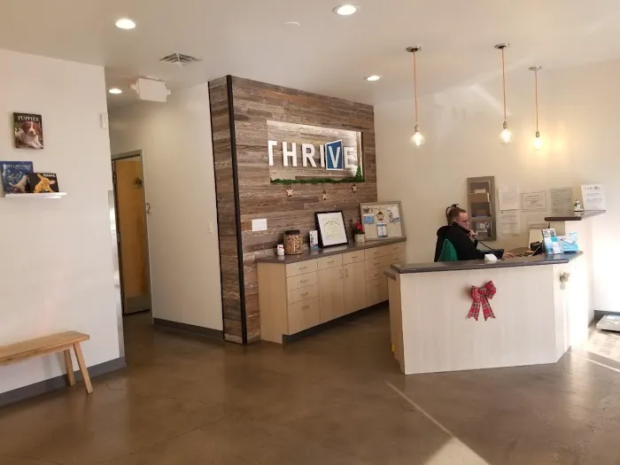 Thrive Pet Healthcare - Fountainview 12
