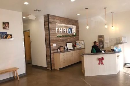 Thrive Pet Healthcare - Fountainview