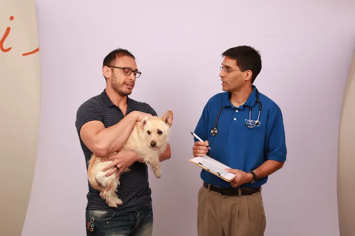 Thrive Pet Healthcare - Fountainview 12