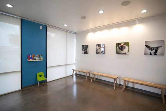 Thrive Pet Healthcare - Fountainview 12
