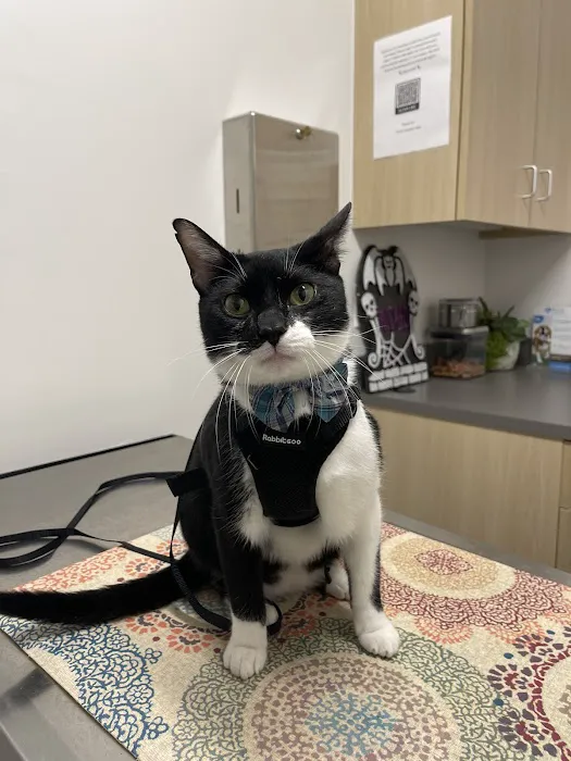 Thrive Pet Healthcare - Fountainview 12