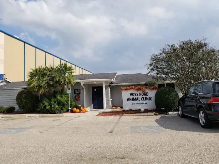 Voss Road Animal Clinic 12
