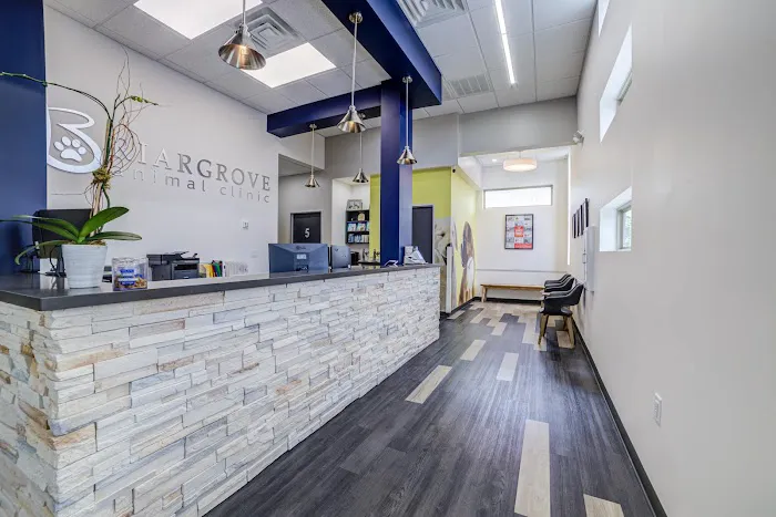 Briargrove Animal Clinic 12