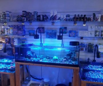 European Aquatics Inc.