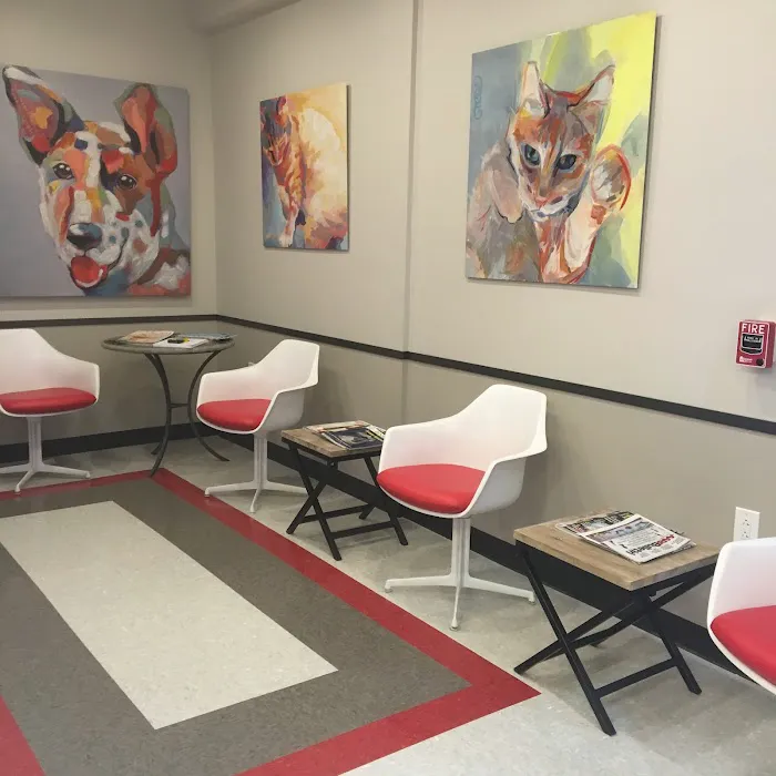 Tanglewood Animal Hospital 12
