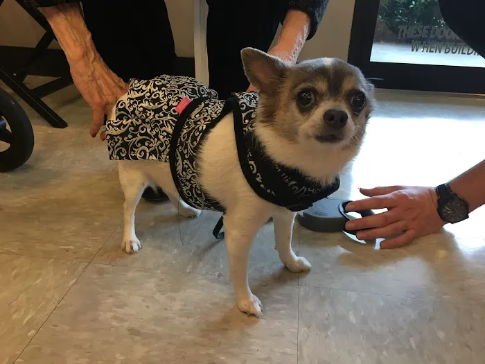 Tanglewood Animal Hospital 12