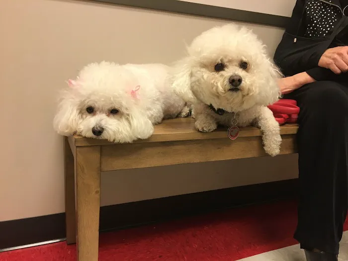 Tanglewood Animal Hospital 12