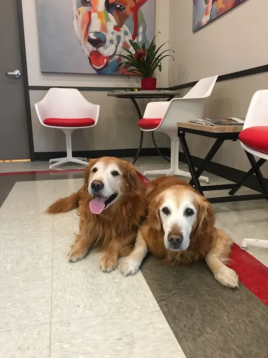 Tanglewood Animal Hospital 12