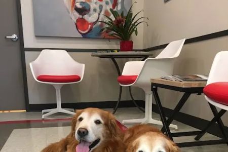 Tanglewood Animal Hospital