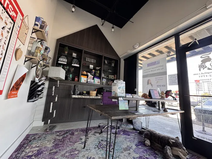 Q Veterinary Hospital Galleria 12