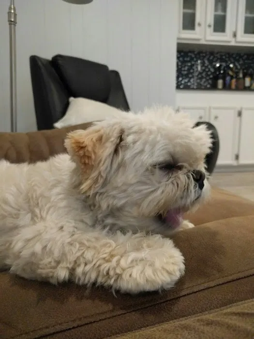 Banfield Pet Hospital 8