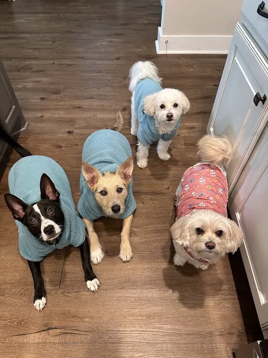 Banfield Pet Hospital 10
