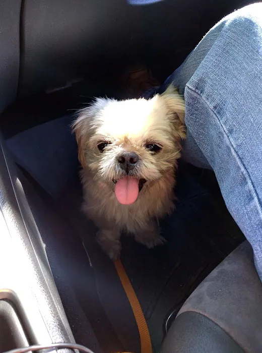 Banfield Pet Hospital 5