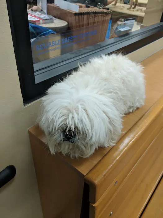 Banfield Pet Hospital 3