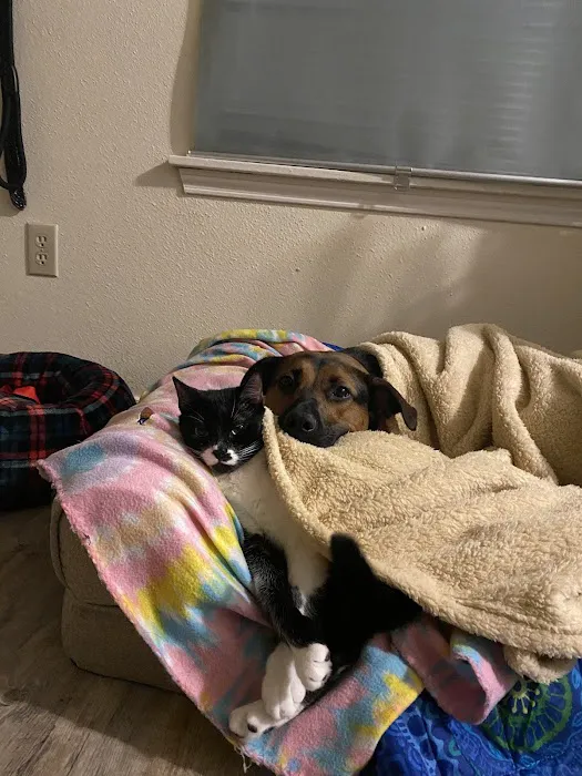 Banfield Pet Hospital 1