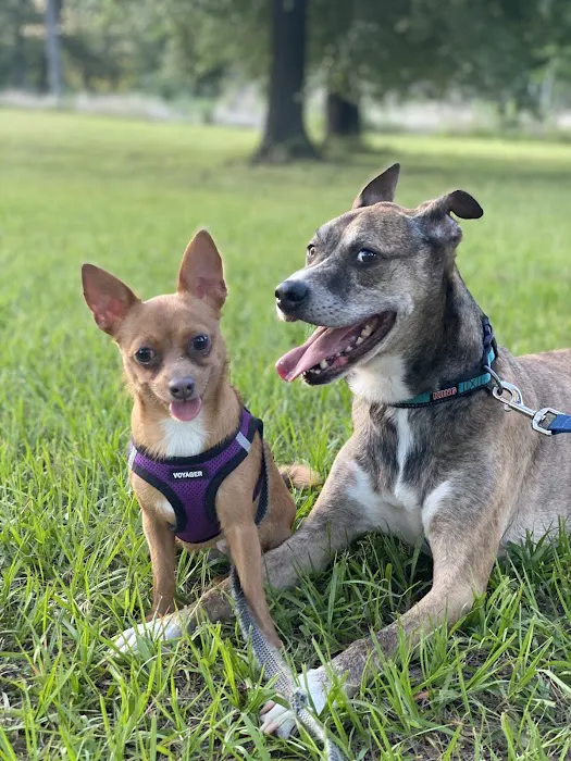 Banfield Pet Hospital 9