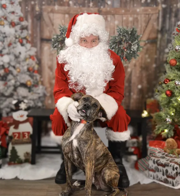 Newfound Pet Center - Franklin 3