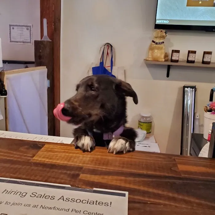 Newfound Pet Center - Franklin 7