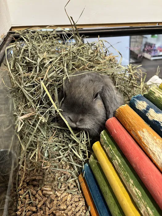 Newfound Pet Center - Franklin 6