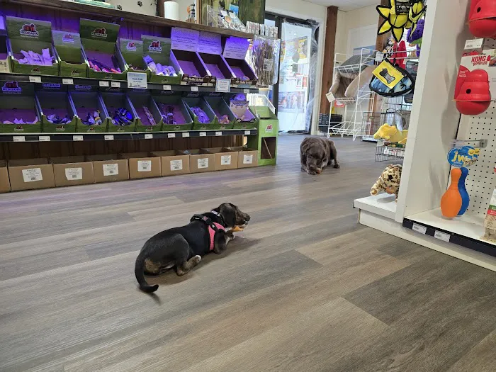 Newfound Pet Center - Franklin 4