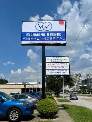 Richmond Avenue Animal Hospital 12