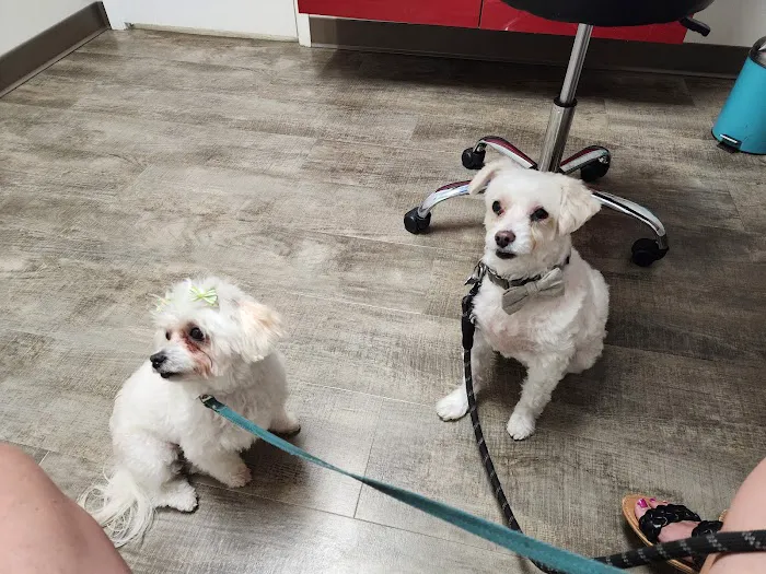 Richmond Avenue Animal Hospital 12
