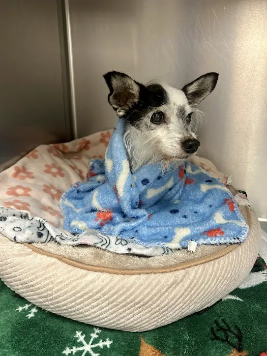 Richmond Avenue Animal Hospital 12