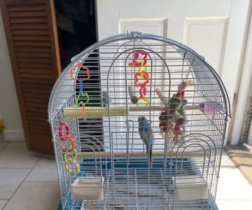 Petco
