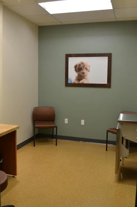 BluePearl Pet Hospital 4