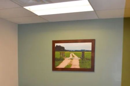 BluePearl Pet Hospital