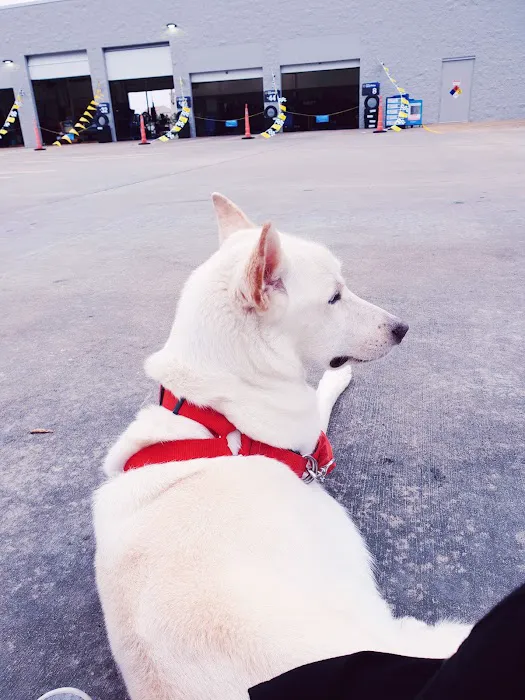 Banfield Pet Hospital 12
