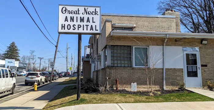 Great Neck Animal Hospital 10