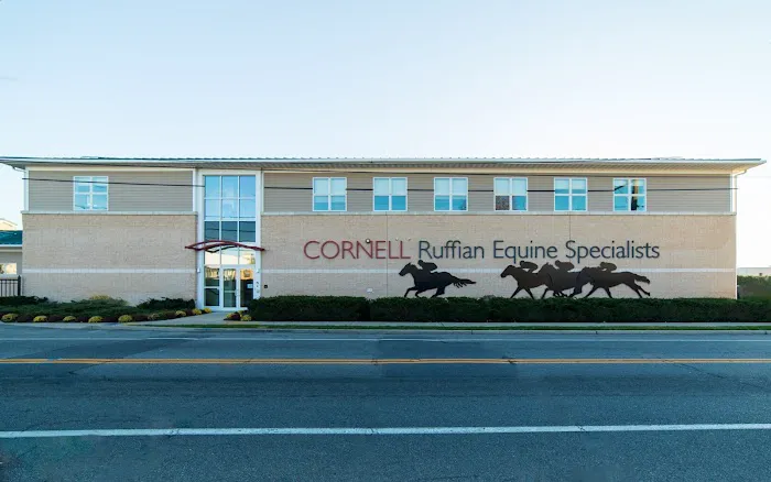 Cornell Ruffian Equine Specialists 6