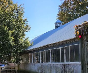 Cornell Ruffian Equine Specialists