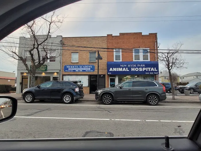 New Hyde Park Animal Hospital 10