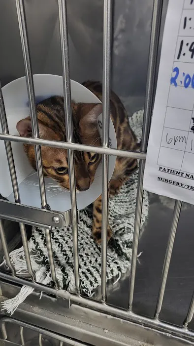 Animal Hospital of Elmont 1