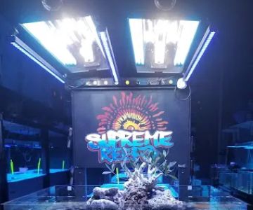Supreme Reefs