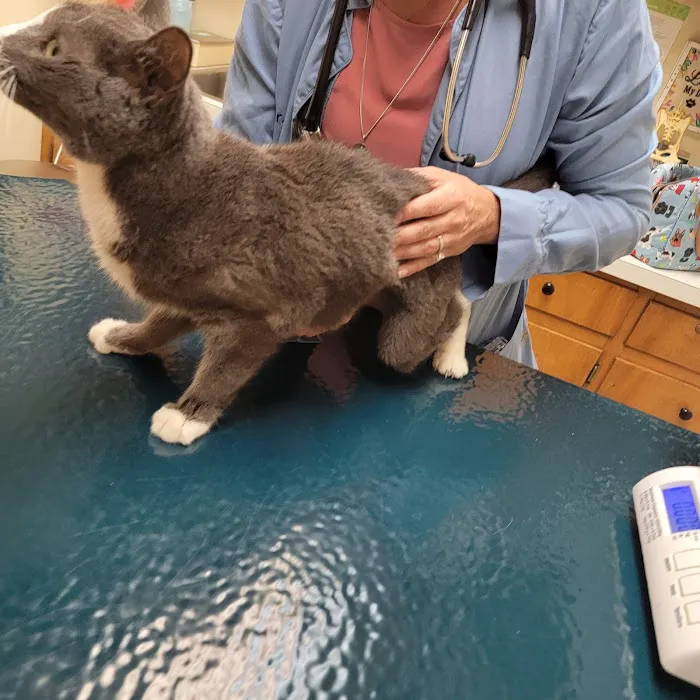 A & A Veterinary Hospital 9
